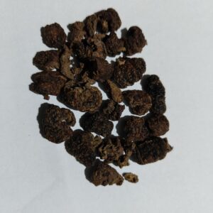 Dried Amla flakes, শুকান আমলখিৰ টুকুৰা